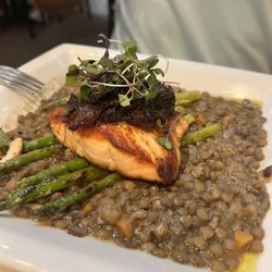 Rosso Vino - Salmon