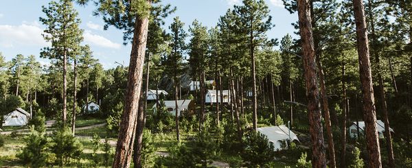 Under Canvas Mount Rushmore by null