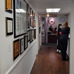 Oral Plastic Surgery & Periodontics - Nordland, Hutton, Lofthus