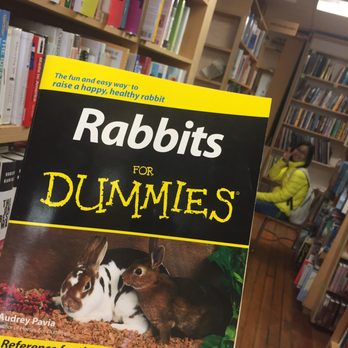 The Bookstore - Rabbits...including the one in the back - Bookstores Near Me - Chico, California