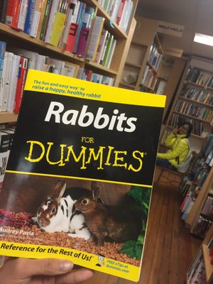 The Bookstore by null