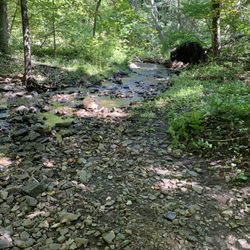 Talcott Reservoir Trail - The trails are suffering from heavy washes and need some trail volunteers.