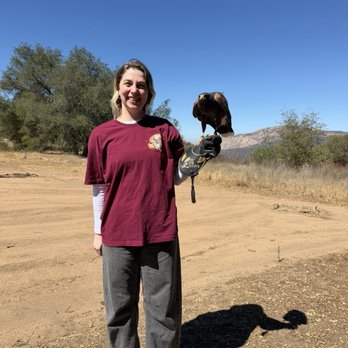 Sky Falconry - Specialty Schools Near Me - Alpine, California Sky Falconry - Specialty Schools Near Me - Alpine, California