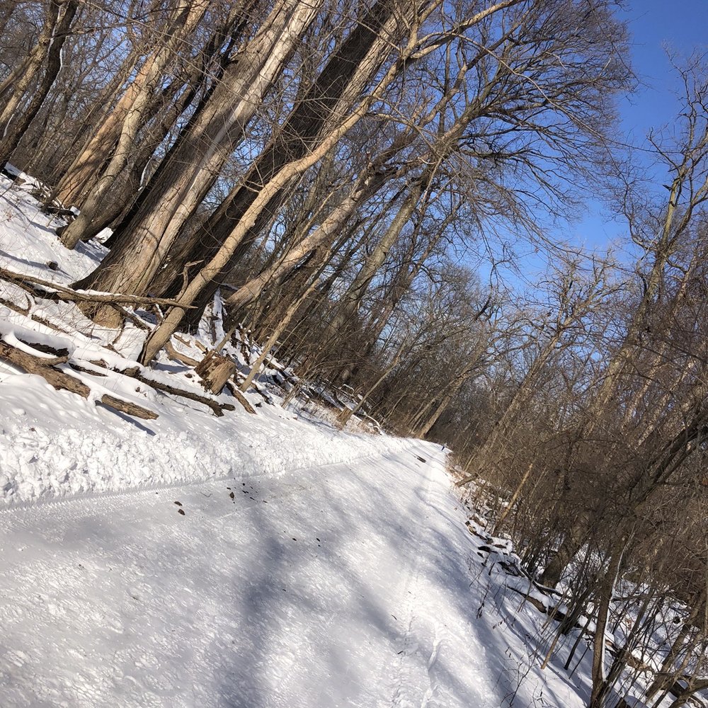 Sheldon Marsh State Nature Preserve - A snowy path :) - Parks Near Me - Erie, Ohio Sheldon Marsh State Nature Preserve - A snowy path :) - Parks Near Me - Erie, Ohio
