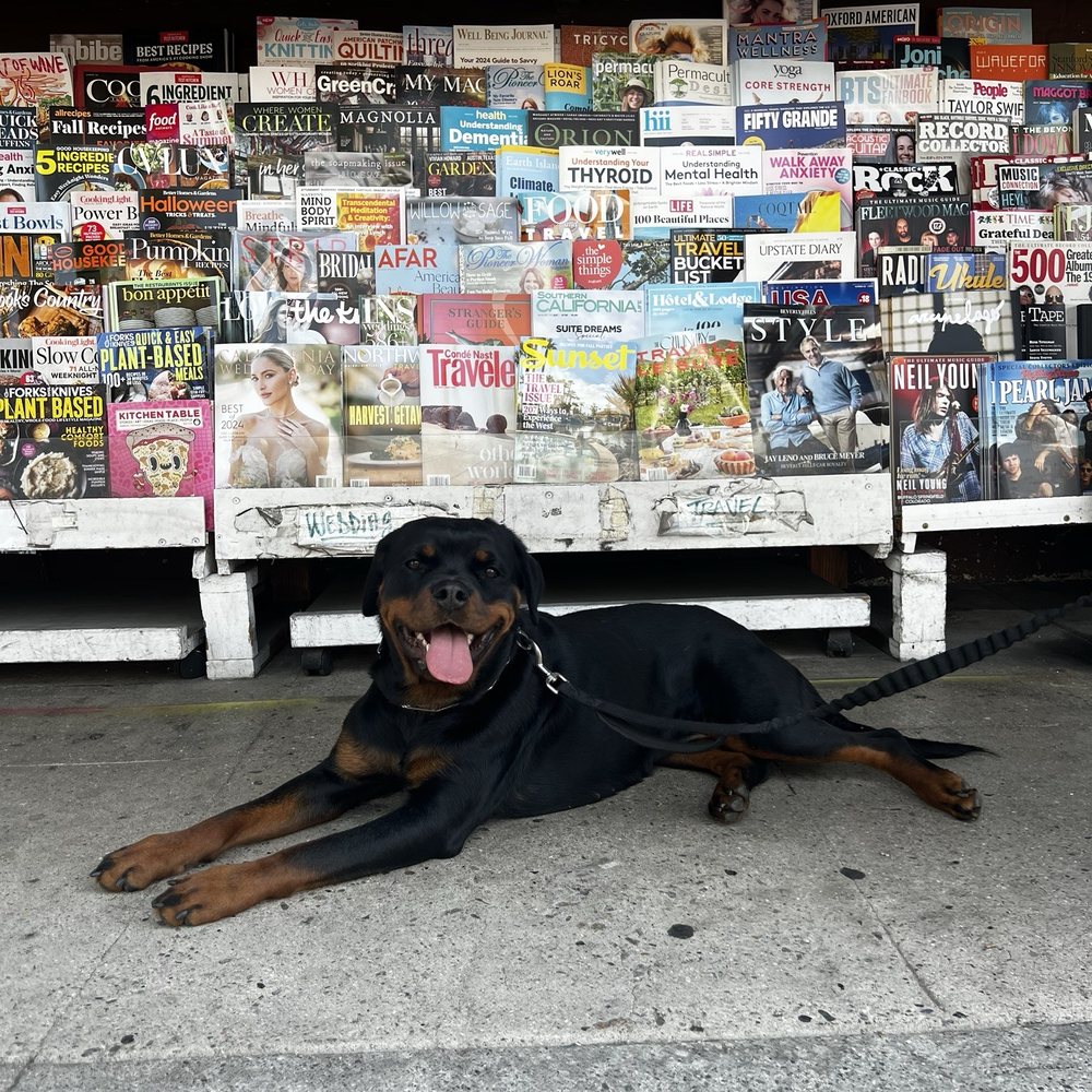 Kosher News - Print Media Near Me - Los Angeles, California