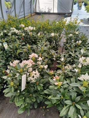 KURTZ BROS. MULCH & SOILS - Updated June 2026 - 11 Photos - 777 Frank ...