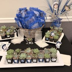 Mountain Crest Gardens - Perfect little to go succulents