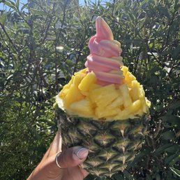 watermelon pineapple watermelon pineapple
