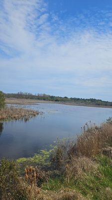False Cape State Park by null