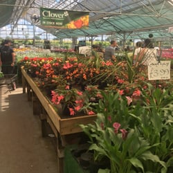 Castle Nurseries