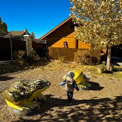 Big Bear Alpine Zoo