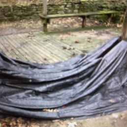 Dog poop in backyard Dog poop in backyard