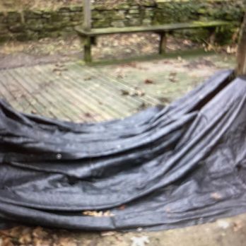 Lumos Real Estate - Dog poop in backyard - Property Management Near Me - Pittsburgh, Pennsylvania Lumos Real Estate - Dog poop in backyard - Property Management Near Me - Pittsburgh, Pennsylvania