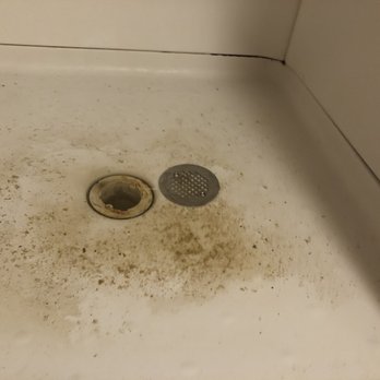 Modern Sewer & Drain Cleaning - Poop left in shower after plumber left... - Plumbing Near Me - Port Huron, Michigan