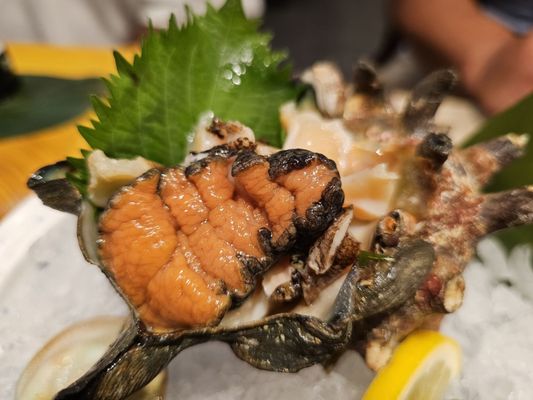 Sushi no Midori by null