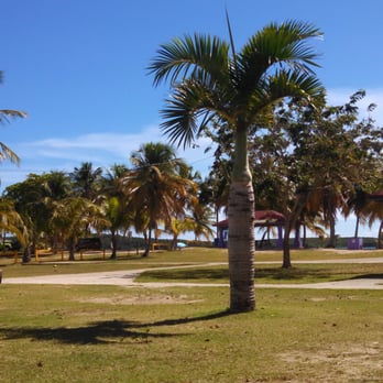 ArenaMar Sunbay's Café - the view of Sun Bay beach from the cafe - Caribbean Near Me - Vieques, Puerto Rico