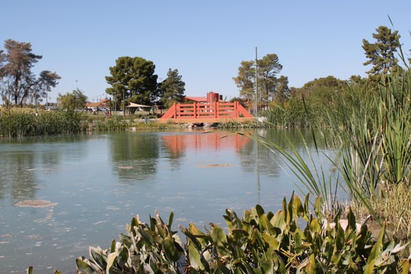 Craig Ranch Regional Park by null