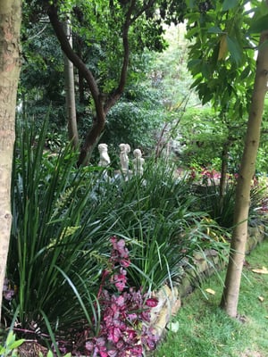 Wendy Whiteley's Secret Garden by null