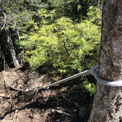 Vedder Mountain Ridge Trail - Steep section with rope~