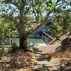 View from Los Gatos Creek Trail