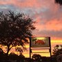 Photo of Sunset Park Animal Hospital