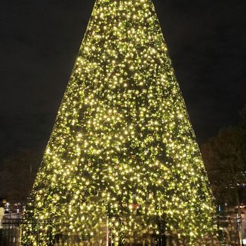 Lake Eola Park - Christmas tree is beautiful - Parks Near Me - Orlando, Florida