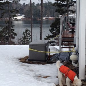 BRUNSWICK HOME & GARDEN SHOP - Nurseries & Gardening - 26 Stanwood St