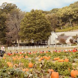 Stuckmeyer's Farm Market