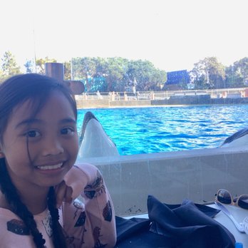 Dine With Orcas - Buffets Near Me - San Diego, California Dine With Orcas - Buffets Near Me - San Diego, California