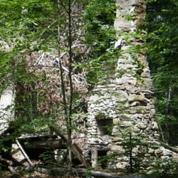 Peter's Memorial Woods