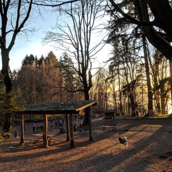 Golden Gardens Off-Leash Area - Dog Parks Near Me - Seattle, Washington Golden Gardens Off-Leash Area - Dog Parks Near Me - Seattle, Washington