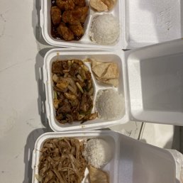 Lunch items: orange chicken, Mongolian beef, and chicken chow mein Lunch items: orange chicken, Mongolian beef, and chicken chow mein