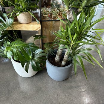 LiveTrends - Nurseries & Gardening Near Me - Winter Garden, Florida
