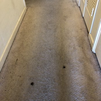 My American Movers - Dirt tracked through the house by moving team. - Movers Near Me - Van Nuys, California My American Movers - Dirt tracked through the house by moving team. - Movers Near Me - Van Nuys, California