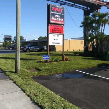 Swat Exterminating - Swat Exterminating Company - Pest Control Near Me - Clearwater, Florida