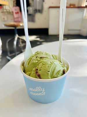 Molly Moon's Homemade Ice Cream Columbia City by null
