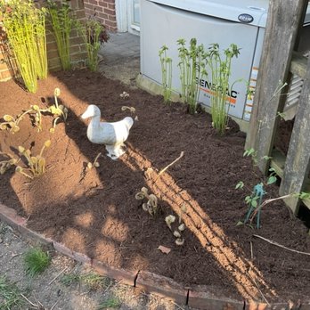 Union Park Landscaping - Plants/ mulch & a decorative duck! - Landscaping Near Me