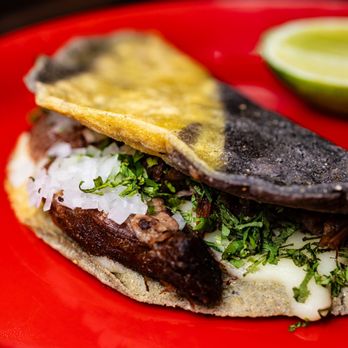 La Taqueria - Mexican Near Me - Toronto, Ontario La Taqueria - Mexican Near Me - Toronto, Ontario