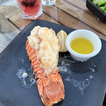 Chart House - Lobster Tail - Seafood Near Me - Dana Point, California Chart House - Lobster Tail - Seafood Near Me - Dana Point, California