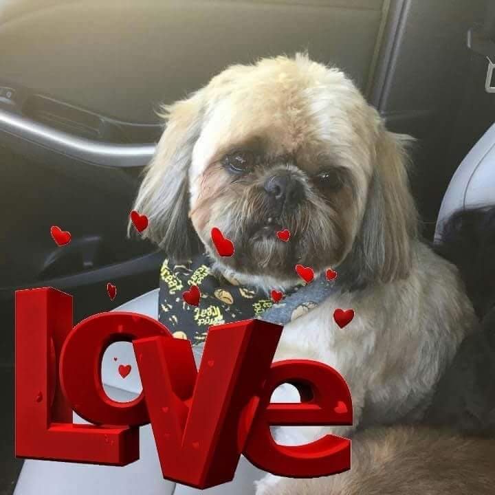 BEATTY APARTMENTS AND MINISTORAGE Updated April 2024 1100 A Ave N