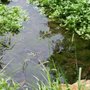 Photo of Parmer Park