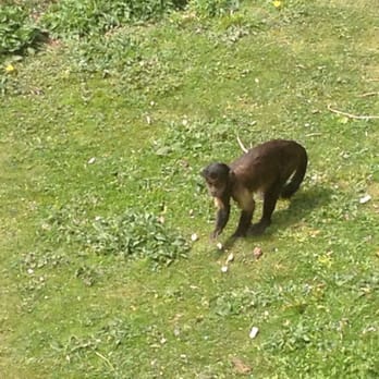 Edinburgh Zoo - Zoos Near Me - Edinburgh, EDH