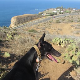 Alta Vicente trail.