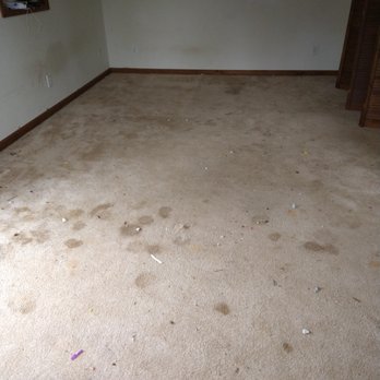 Kassel Cleaning - Pet and organic stains 2 before - Carpet Cleaning Near Me