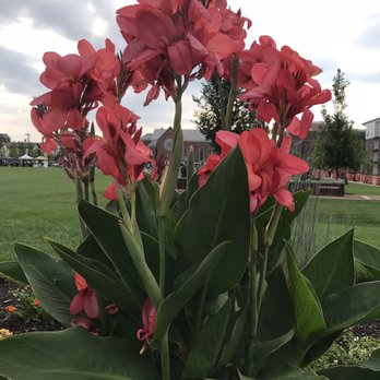 Marcum Park - Parks Near Me - Hamilton, Ohio