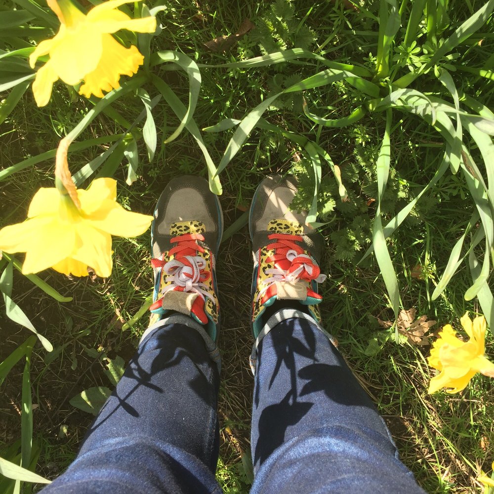 Victoria Park - Daffodil season in the park - Parks Near Me - Belfast, BFS