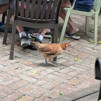 Blue Heaven - Breakfast & Brunch Near Me - Key West, Florida Blue Heaven - Breakfast & Brunch Near Me - Key West, Florida