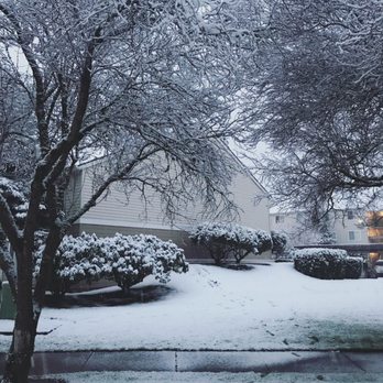 Hidden Creek Apartments - Snow day at Finch - Apartments Near Me - Longview, Washington Hidden Creek Apartments - Snow day at Finch - Apartments Near Me - Longview, Washington