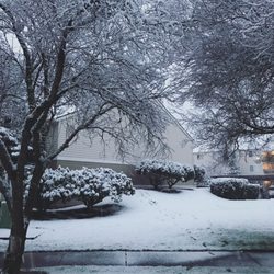 Hidden Creek Apartments - Snow day at Finch