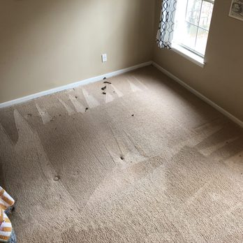 Whitehall Carpet Cleaners - This is the first run through with a comb brushy thing, look at all the hair they got out of my carpet, gross! - Carpet Cleaning Near Me - Columbia, South Carolina Whitehall Carpet Cleaners - This is the first run through with a comb brushy thing, look at all the hair they got out of my carpet, gross! - Carpet Cleaning Near Me - Columbia, South Carolina